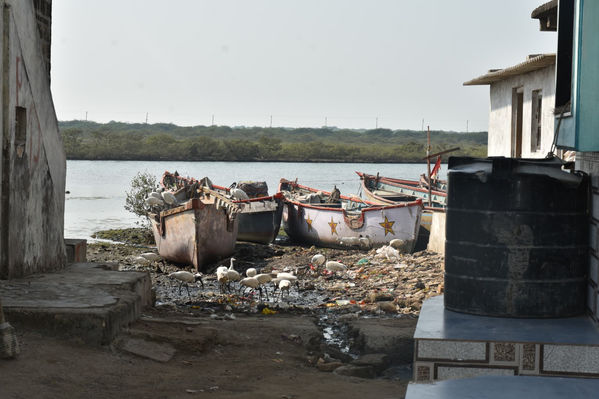 Beached boats and egrets among waste on the shoreline