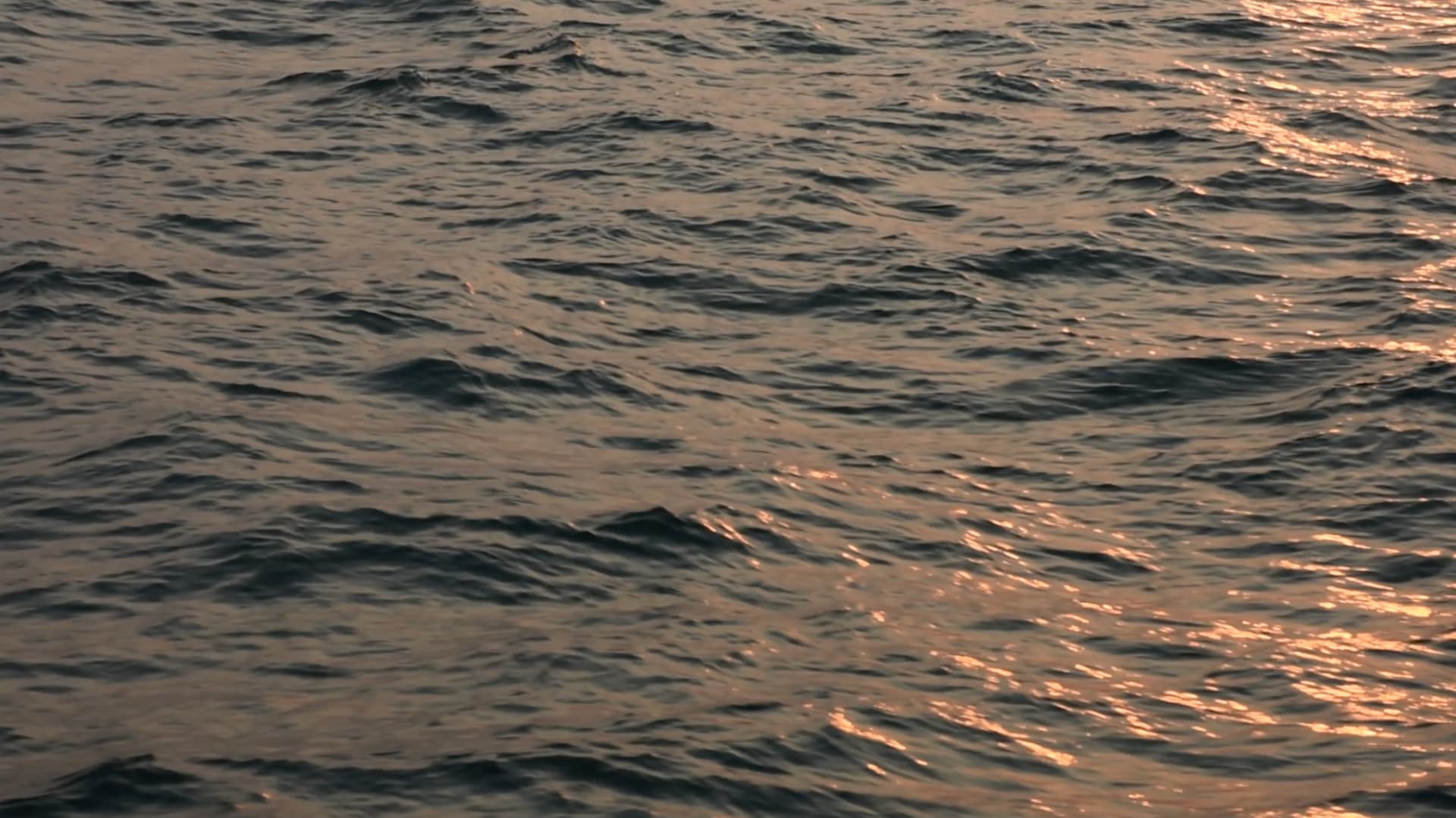 Evening light on the Arabian Sea