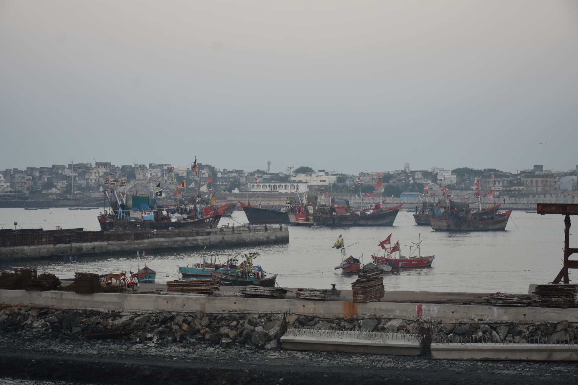 Fishing boats moored along a coastal harbour